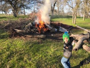 building-burnpile building-burnpile